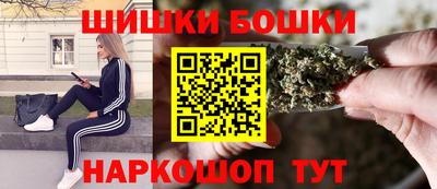 крисы Новозыбков