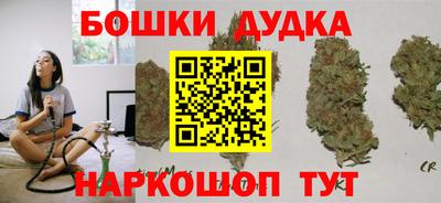 крисы Новозыбков