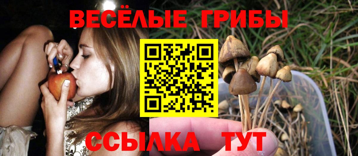 Галлюциногенные грибы Cubensis  Вход с VPN  Тайшет 