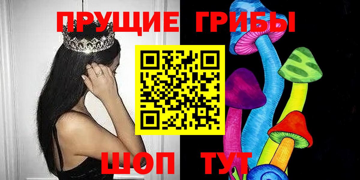 Галлюциногенные грибы Psilocybine cubensis Тайшет