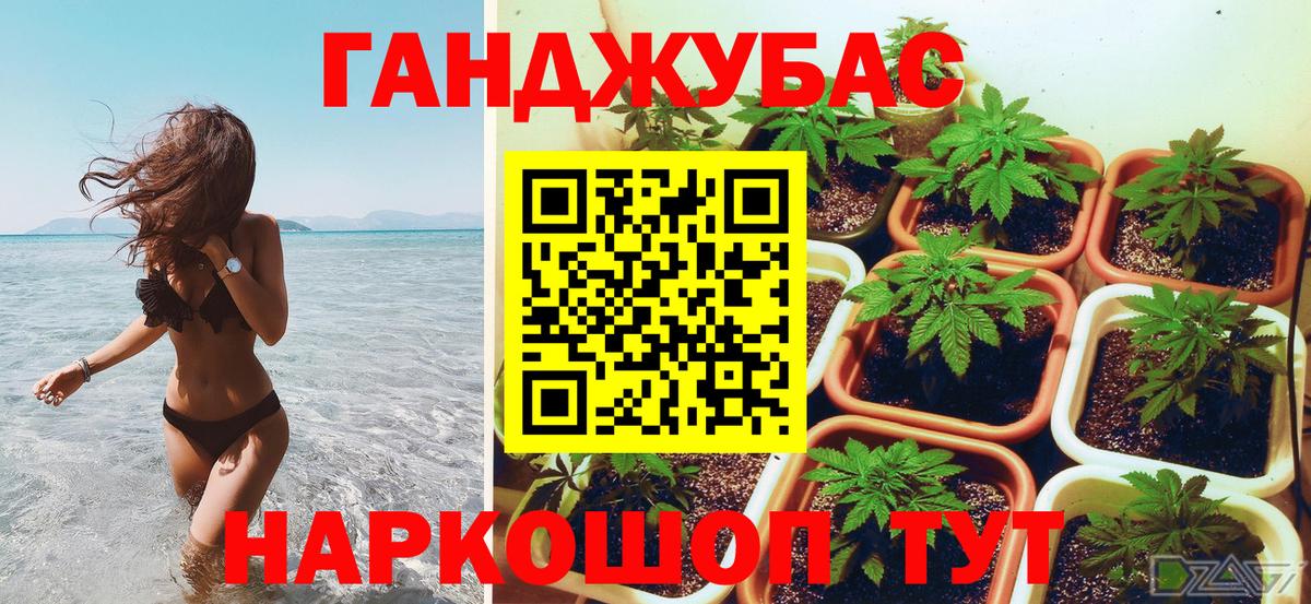 Канабис гибрид Тайшет